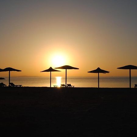 Cecelia Aparthotel Hurghada Bagian luar foto